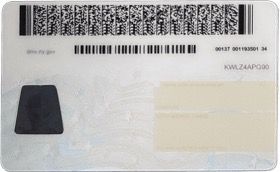best fake id Back