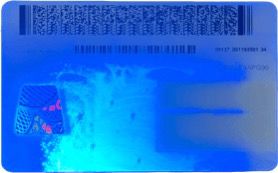 best fake id Back (UV)